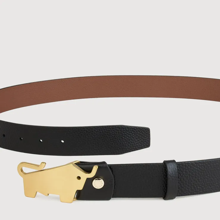 Braun Büffel Belt | Accessories>PEBBLE LEATHER BELT WITH GOLD IN SATIN FINISH IN STAINLESS STEEL PLATE BUCKLE
